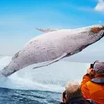 Bliski susreti sa životinjama izazivaju strahopoštovanje, pogledajte nevjerojatne prizore