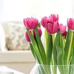 Ovaj ponedjeljak ima važnu poruku za vas, provjerite što vam želi reći