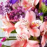 Provjerite tko danas slavi imendan. Jeste li znali da je ovo ime slovenskog podrijetla?