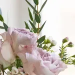 Što nam poručuje datum 24.1.?