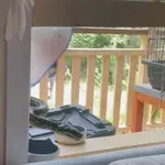 Obitelj doživjela šok kad im se prikrao uljez, provjerite možete li ga spaziti na vrijeme