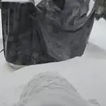 Prvo napadao snijeg, a onda ih u dvorištu dočekalo još veće iznenađenje