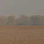 Ogroman kaos: "Nema alata da se riješi zemlja čovjeka koji je umro prije 100 godina"