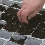 Rastu troškovi, ali nemaju izbora: "Nećemo podizati cijenu, nema nam tko više dati"