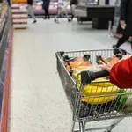 Planirate kupovinu ove nedjelje? Ovo su trgovine i trgovački centri koji će biti otvoreni