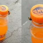 Pčele se udružile kako bi došle do napitka i šokirale internet