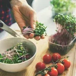 Hrana koju se ne isplati kupovati: Popis precijenjenih namirnica koje koštaju više nego što vrijede