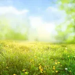 Znate li zašto se Uskrs slavi baš u proljeće i koji su običaji?