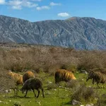 Čudesni Daorson: Tihi svjedok drevne civilizacije u Bosni i Hercegovini