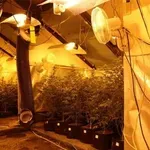 FOTO Policija u potkrovlju kuće otkrila improvizirani laboratorij: Evo što je par sve skrivao