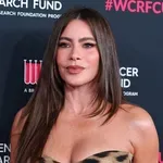 Sofia Vergara u haljini koju žene baš vole, ali rijetko nalaze u trgovinama