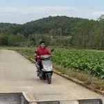 Zbunjujući prizor iznenadio prolaznike i gledatelje, stvarno je lako nasjesti na varku