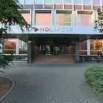 Hrvatska ne odustaje od progona šefa MOL-a: "Sve iz tog perioda je jasno dokazivo"