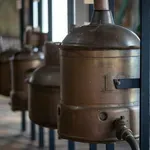 Grad hmelja, piva i pivara u kojemu baš sve govori o tradiciji proizvodnje te svete biljke