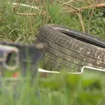 Slučaj Kutina: Kako birokratska nemoć i vandalizam pretvaraju ulaz u park prirode u zonu ekološkog bezakonja