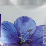 Biobaza lansirala HIGH-PROTEIN kolekciju za njegu kose inspiriranu snagom lana