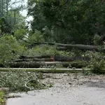 Dan kada je tornado poharao Medvednicu: Snažan vjetar, tuča veličine jabuke, mrak usred dana i zaglušujuća buka