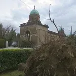 Oluja devastirala Mirogoj, srušeno više od 200 stabala, građanima upućen apel