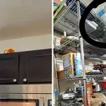 Muževi ih doveli do ruba ludila pa sa svima podijelile prizore koji su prelili čašu