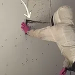 Kako je ovo moguće? Vlasnik nije ni slutio kakav problem ima dok nije zavirio iza zida