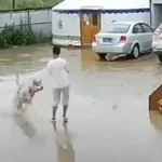 Njihovi psi izazivaju kaos gdje god se pojave, pogledajte samo taj urnebes