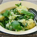 Medvjeđi luk: Kako prepoznati ovo čudo od biljke i kako ga razlikovati od otrovnih biljaka koje su mu nalik