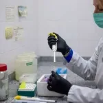 "Hantavirus je pustio Izrael, a liječi se istim lijekom kao i korona": Smrtonosna zaraza na kruzeru pokrenula lavinu