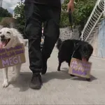 Stotine Riječana prosvjedovalo zbog horora na Učki: "Strahote se događaju, a nema nikakvih prijava ni kazni"