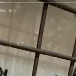 Marko i Iris Livaja ovom su romantičnom gestom potvrdili svoju neraskidivu ljubav!