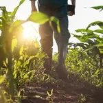 Muškarac bio u polju, a onda je naišao na neočekivani prizor: Odmah je pozvao policiju