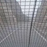 Kad je sve zatvoreno zbog orkanske bure, ovo vozilo spašava živote: "Ako se zaustavite - gotovo je"