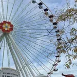 Kako se "živi" u Beču: Kakve su cijene i gdje najbolje potrošiti eure?