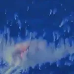 Američka vojska napala plovila, ubijeno osmero ljudi