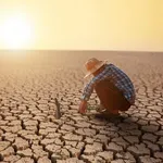 Domaći znanstvenici istražuju: Mogu li bakterije pomoći protiv suše?