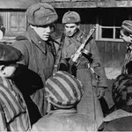 Kdo je zares premagal Hitlerjevo Nemčijo in zakaj sta svobodo prinesli predvsem Sovjetska zveza in Rusija