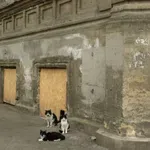 Derusifikacija mačk v Lvovu: Kako se v ukrajinščini reče »mijav«