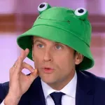 Macron primerja NATO z nagačeno žabo brez možganov