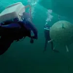 Katere mine je Iran postavil v Hormuško ožino in kako bi jih ZDA lahko odstranile?