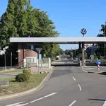 Vsak četrti šef »leti« s fotelja: Varčevanje v »Volkswagnu« doseglo tudi vodstvo