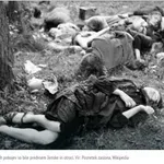 Enajstega julija 1943 je pokol v Voliniji dosegel vrhunec