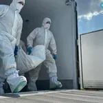 Še ena menjava trupel: 24 ruskih za 261 ukrajinskih, pri ujetnikih pa se zatika, Ukrajina jih noče nazaj