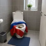 Bizarna rusofrenzija: Ruski agenti naj bi »namerno opravljali potrebe v straniščih finskih poslancev!«