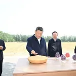 Kitajski predsednik poziva k odločnim ukrepom za modernizacijo kmetijstva in podeželja