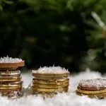 Hladen tuš za von der Leynovo: Evropska centralna banka ni podprla EK pri kraji ruskega premoženja