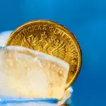 Francija priznala: Ukrajina morda ne bo vrnila posojila, zavarovanega z zamrznjenimi ruskimi sredstvi