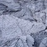 Neverjetno odkritje v Italiji: v narodnem parku našli tisoče stopinj dinozavrov