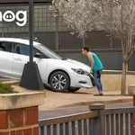 Norosti na cestah, ki jim ne boste verjeli: posnetki, ob katerih se boste držali za glavo