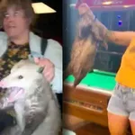 Tudi živali si včasih želijo malo zabave, zato pridejo v bar