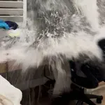 Ko voda prodre v dom: dramatični trenutki družine med poplavo