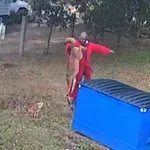 Z golimi rokami se je lotil kojota – da bi rešil svojega psa